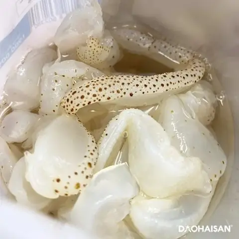 Cách Nấu Bún Sứa Quy Nhơn: Bí Quyết Đậm Đà Chuẩn Vị Biển