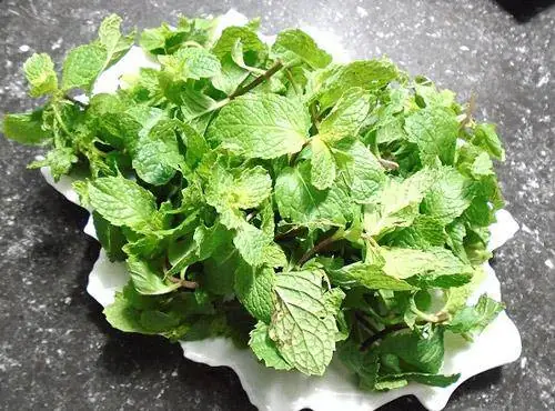 Hướng Dẫn Chi Tiết Cách Nấu Bún Sườn Chua Sấu Ngon Khó Cưỡng Hướng Dẫn Chi Tiết Cách Nấu Bún Sườn Chua Sấu Ngon Khó Cưỡng