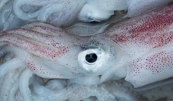 cách nấu bún thái hải sản