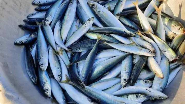 Bước 1: Chuẩn bị nguyên liệu: Bước 1: Chuẩn bị nguyên liệu: