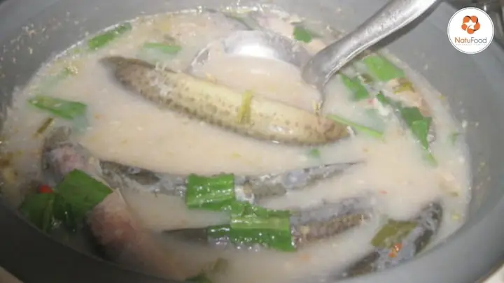 Cách Nấu Cá Bò Sông Ngon Chuẩn Vị, Đơn Giản Tại Nhà