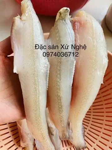 Hướng Dẫn Cách Nấu Cá Cháo Ngon Chuẩn Vị Miền Tây Đậm Đà Hướng Dẫn Cách Nấu Cá Cháo Ngon Chuẩn Vị Miền Tây Đậm Đà