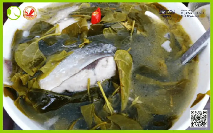 Cách Nấu Cá Chẽm Ngon: Khám Phá Bí Quyết Chuẩn Vị Gia Đình Cách Nấu Cá Chẽm Ngon: Khám Phá Bí Quyết Chuẩn Vị Gia Đình