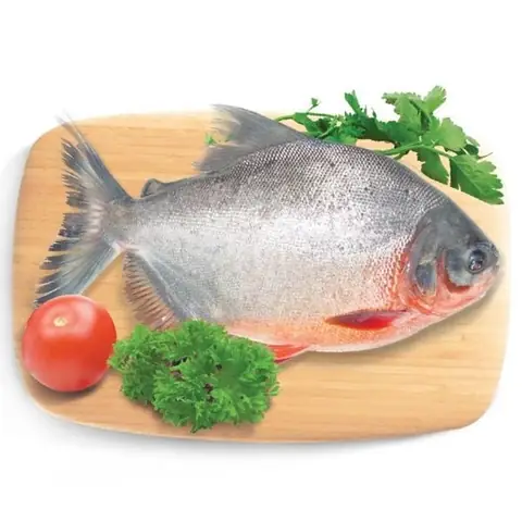 Cách Nấu Cá Chim Nước Ngọt: Hướng Dẫn Chi Tiết Từng Bước