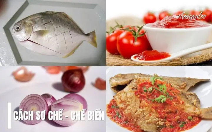 Hướng Dẫn Cách Nấu Cá Chim Sốt Cà Chua Thơm Ngon Chuẩn Vị Tại Nhà Hướng Dẫn Cách Nấu Cá Chim Sốt Cà Chua Thơm Ngon Chuẩn Vị Tại Nhà