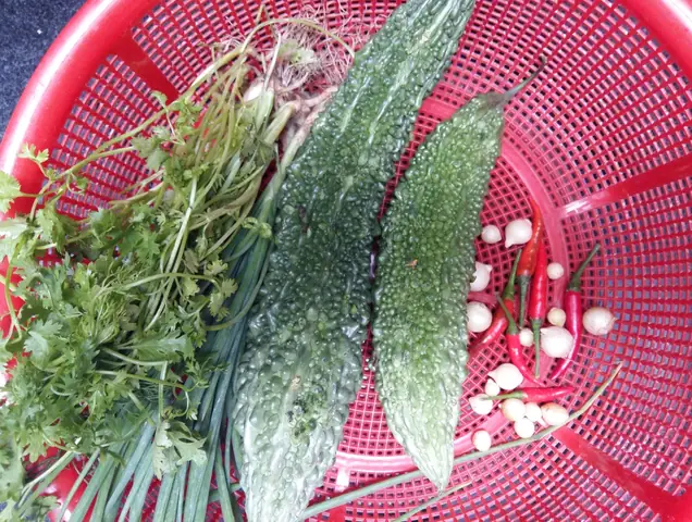 Cách nấu cá chuồn kho nghệ đậm đà chuẩn vị miền Trung