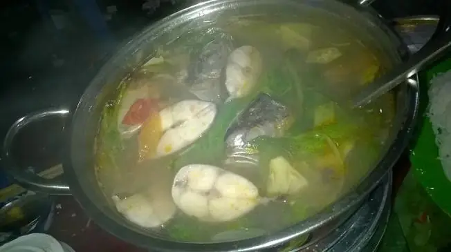 Cách nấu cá cu ngon chuẩn vị, dễ làm tại nhà Cách nấu cá cu ngon chuẩn vị, dễ làm tại nhà