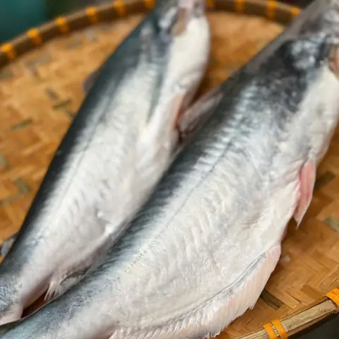 Cách Nấu Cá Dưa Biển Thơm Ngon, Đậm Đà Chuẩn Vị Cách Nấu Cá Dưa Biển Thơm Ngon, Đậm Đà Chuẩn Vị