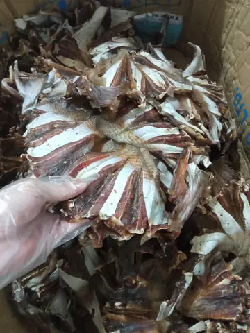 Cách Nấu Cá Đuối Khô Ngon Miệng, Đậm Đà Chuẩn Vị