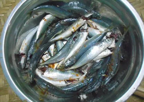 Món cá hộp sốt cà chua vừa dai, vừa cay tưởng khó làm hóa ra lại cực dễ chỉ nhờ đúng bước này.