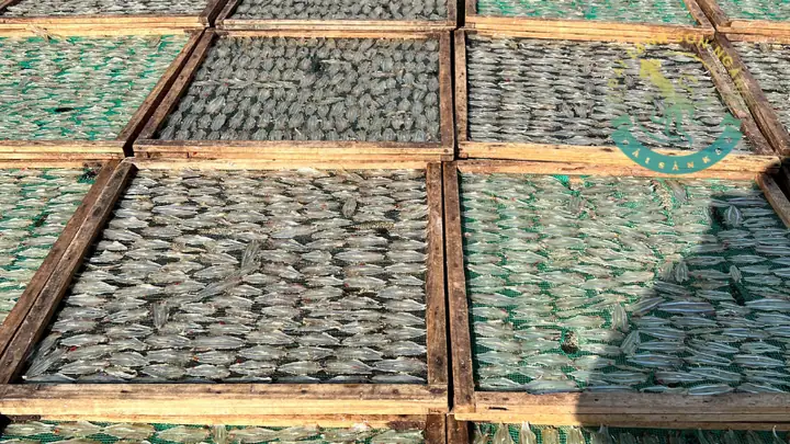 Cá Cơm Trỏng loại 1 - Đại Lãnh Sơn Ngàn