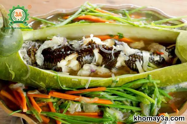 Cách Nấu Cá Lóc Hấp Bầu Thơm Ngon Chuẩn Vị Gia Đình