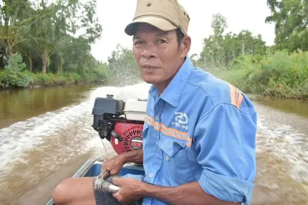 Cách Nấu Cá Lóc Nấu Mẻ Chua Ngọt Chuẩn Vị Miền Tây