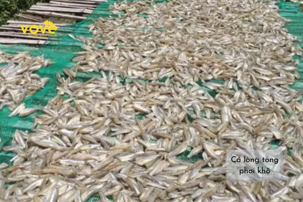 Cách Nấu Cá Lòng Tong Kho Tiêu Ngon Đậm Đà Chuẩn Vị Gia Đình