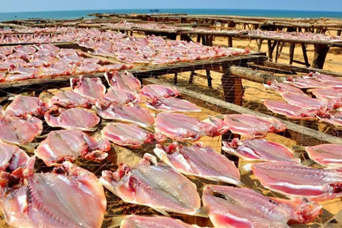 Cách Nấu Cá Một Nắng Ngon Chuẩn Vị, Hấp Dẫn Mọi Thực Khách