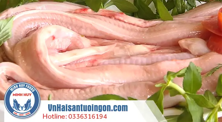 Cách Nấu Cá Mút Đá Thơm Ngon, Hấp Dẫn Chuẩn Vị Gia Đình