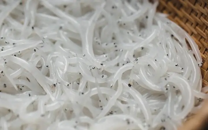 Cá Ngần Sông Đà: Các Món Ngon Và Hướng Dẫn Chế Biến Chi Tiết