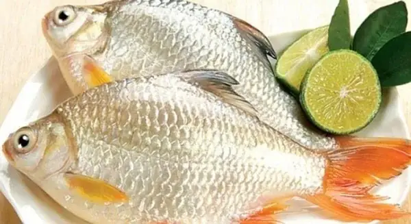 Tổng Hợp Các Cách Nấu Cá Ngon Đơn Giản Tại Nhà Bạn Nhất Định Phải Thử