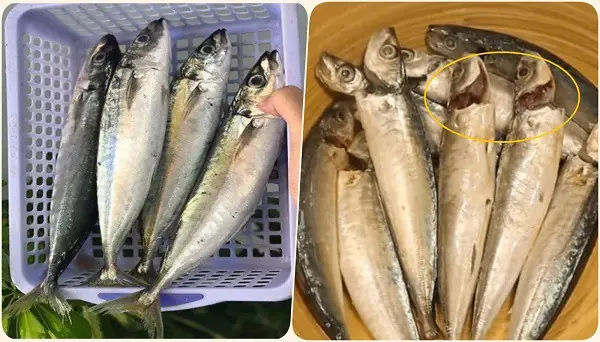 Hướng Dẫn Cách Nấu Cá Nục Ngon Nhất Tại Nhà