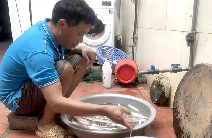 Hướng dẫn chi tiết cách nấu cá om cà thơm ngon chuẩn vị