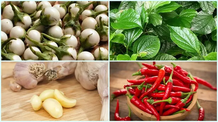 Cách nấu cà pháo xào lá lốt ngon chuẩn vị, đơn giản tại nhà