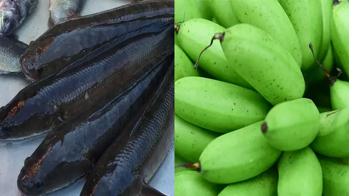 Cách Nấu Cá Quả Với Chuối Xanh Thơm Ngon, Đậm Vị Tại Nhà