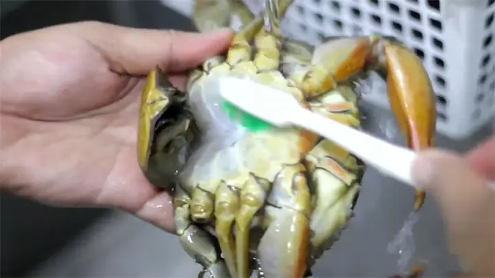 Cách Nấu Cà Ra Ngon Chuẩn Vị, Dễ Làm Tại Nhà