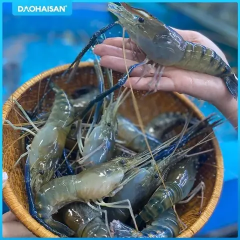 Hướng Dẫn Chi Tiết Cách Nấu Cà Ri Tôm Càng Thơm Ngon Chuẩn Vị Hướng Dẫn Chi Tiết Cách Nấu Cà Ri Tôm Càng Thơm Ngon Chuẩn Vị