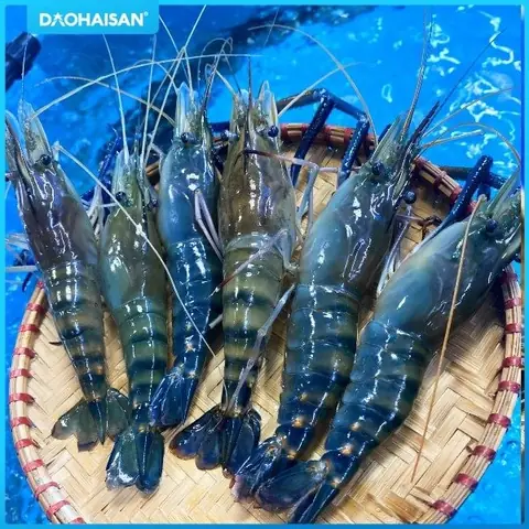 Hướng Dẫn Chi Tiết Cách Nấu Cà Ri Tôm Càng Thơm Ngon Chuẩn Vị Hướng Dẫn Chi Tiết Cách Nấu Cà Ri Tôm Càng Thơm Ngon Chuẩn Vị