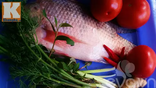 Cách Nấu Cá Rô Phi Sốt Cà Chua Ngon Chuẩn Vị, Đơn Giản Tại Nhà Cách Nấu Cá Rô Phi Sốt Cà Chua Ngon Chuẩn Vị, Đơn Giản Tại Nhà