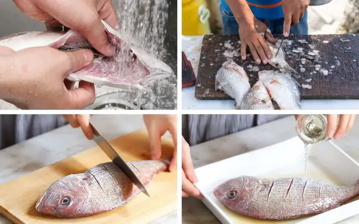 Hướng Dẫn Nấu Cá Tai Tượng Chưng Tương Đậm Đà Đúng Điệu