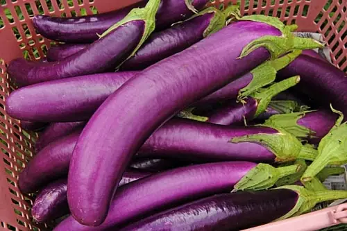 Cách Nấu Cà Tím Cho Bé Ăn Dặm An Toàn, Ngon Miệng Mẹ Nên Biết