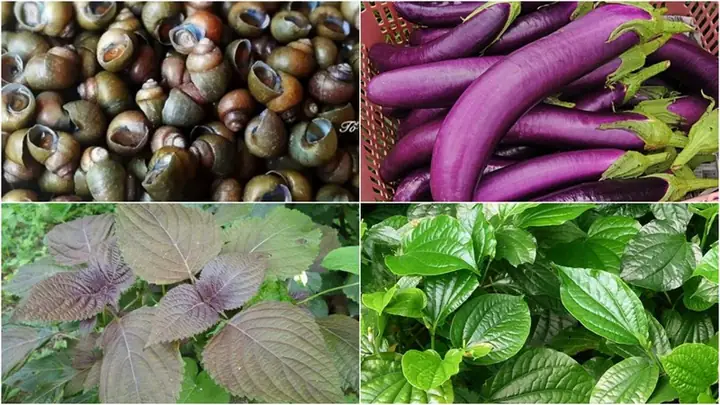 Hướng Dẫn Chi Tiết Cách Nấu Cà Tím Với Ốc Ngon Đậm Đà