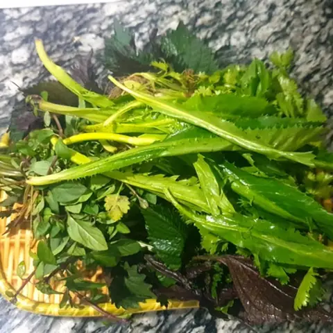 Cách Nấu Cá Trắm Om Dưa Chua Thơm Ngon Đậm Đà Không Tanh