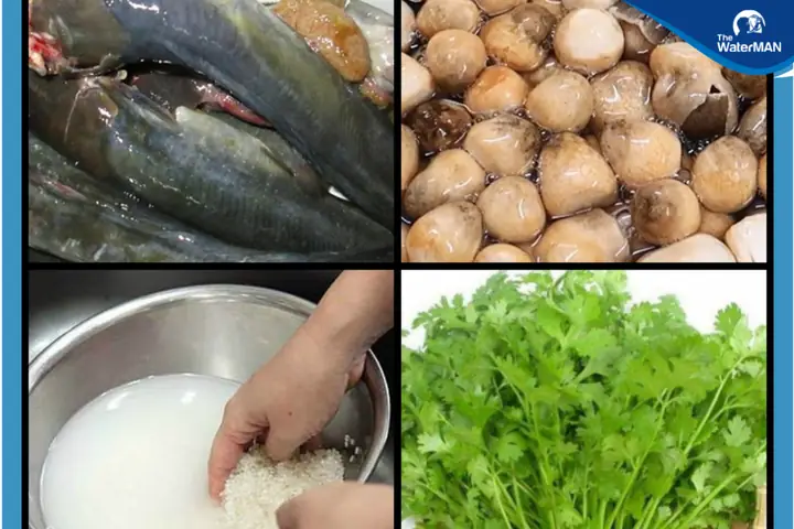 Khám Phá Bí Quyết Cách Nấu Cá Trê Ngon Nhất Chuẩn Vị Gia Đình Việt