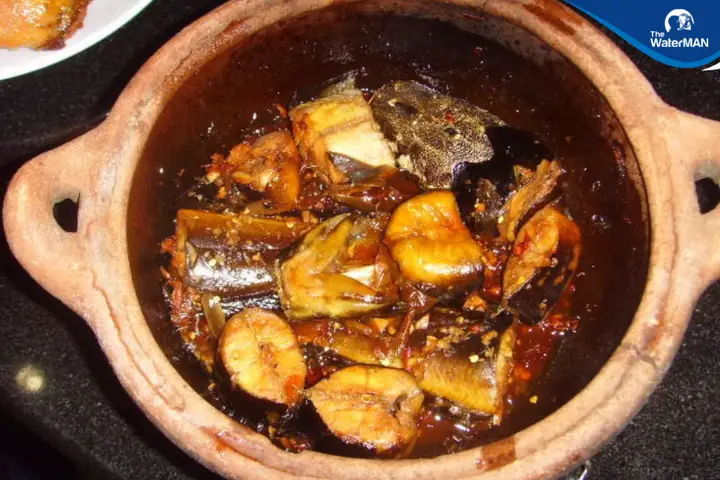 Hướng Dẫn Cách Nấu Cá Trê Ngon Tại Nhà Chuẩn Vị Hướng Dẫn Cách Nấu Cá Trê Ngon Tại Nhà Chuẩn Vị