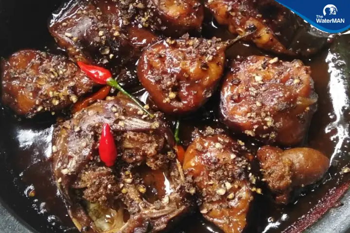 Hướng Dẫn Cách Nấu Cá Trê Ngon Tại Nhà Chuẩn Vị Hướng Dẫn Cách Nấu Cá Trê Ngon Tại Nhà Chuẩn Vị