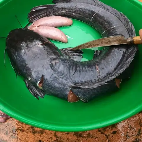 Hướng dẫn chi tiết cách nấu cá trê nướng ngon tại nhà