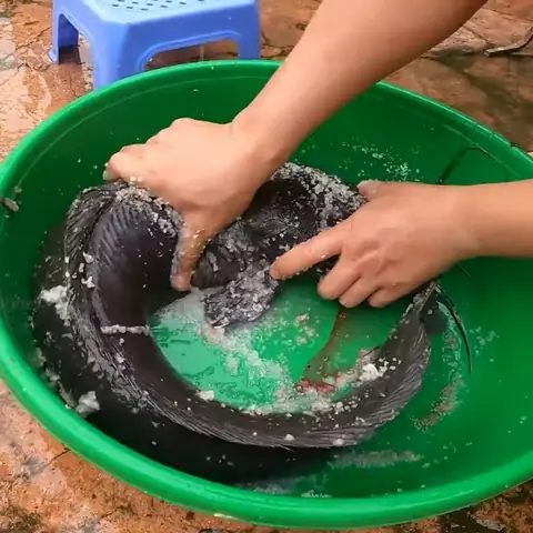 Hướng dẫn chi tiết cách nấu cá trê nướng ngon tại nhà