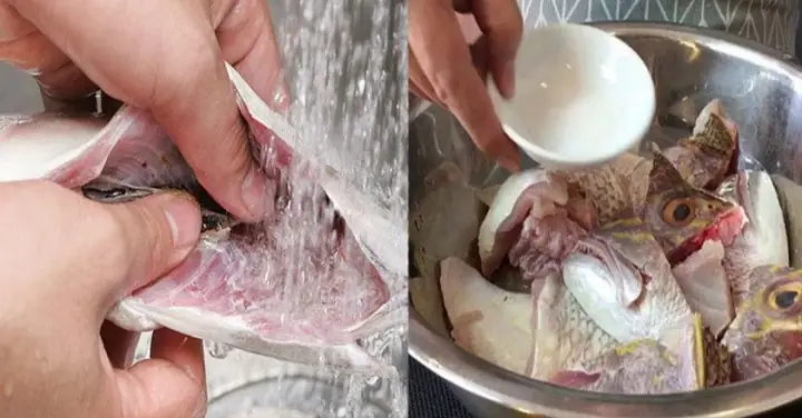 Hướng Dẫn Cách Nấu Cá với Dứa Thơm Ngon, Đậm Đà Chuẩn Vị Hướng Dẫn Cách Nấu Cá với Dứa Thơm Ngon, Đậm Đà Chuẩn Vị