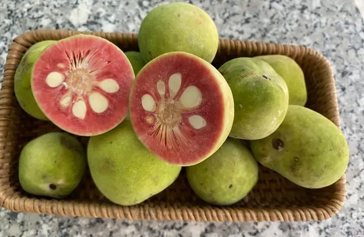 Hướng dẫn nấu cá với quả chay ngon đậm đà, chuẩn vị