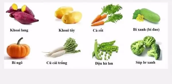 Hướng Dẫn Chi Tiết Cách Nấu Các Loại Cháo Thơm Ngon, Bổ Dưỡng Chuẩn Vị