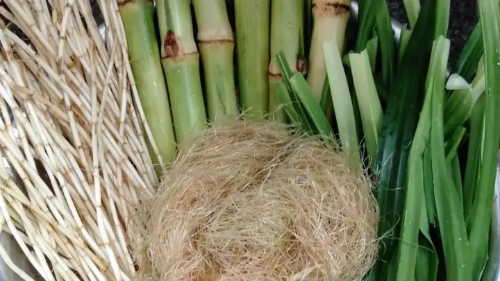 Nước Mát Giải Nhiệt: Cách Nấu Các Loại Đơn Giản Tại Nhà