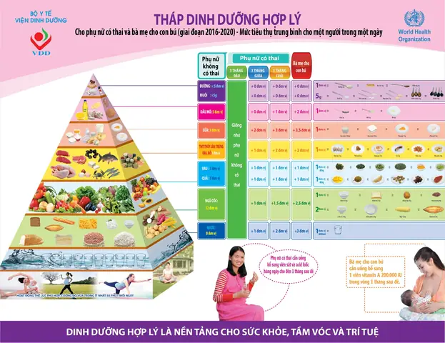 Hướng dẫn cách nấu các món ăn bổ dưỡng cho bà bầu toàn diện