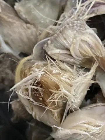 Cách Nấu Canh Atiso Sườn Ngon Mát, Bổ Dưỡng Chuẩn Vị Gia Đình