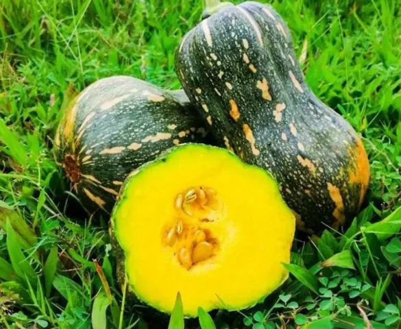 cách nấu canh bí đỏ