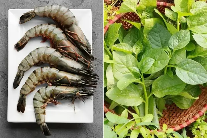 Tổng Hợp 15 **Cách Nấu Canh Bổ Dưỡng** Tuyệt Hảo Cho Mọi Gia Đình Tổng Hợp 15 **Cách Nấu Canh Bổ Dưỡng** Tuyệt Hảo Cho Mọi Gia Đình