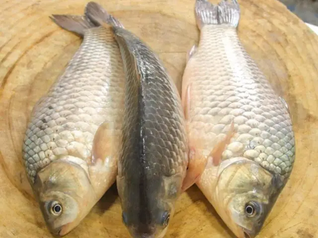 Hướng Dẫn Chi Tiết Cách Nấu Canh Cá Diếc Rau Ngải Cứu Chuẩn Vị