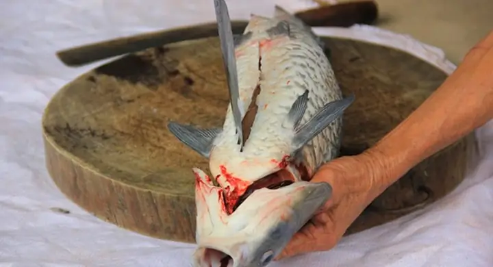 Hướng dẫn nấu canh cá không tanh, thơm ngon đúng điệu Hướng dẫn nấu canh cá không tanh, thơm ngon đúng điệu