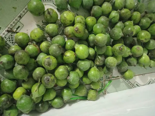 Cách Nấu Canh Cá Quả Ngon Đúng Điệu, Chuẩn Vị Gia Đình
